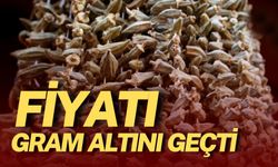 Mart Ayında Fiyatı Gram Altını Geçen O Ürün