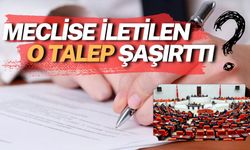 Meclise İletilen Birbirinden İlginç Talepler: O Talebi Duyunca Çok Şaşıracaksınız