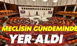 Meclisin Gündeminde Yer Aldı: Annelere Peş Peşe Müjde