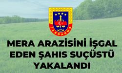 Şanlıurfa'da Mera Arazisini İşgal Eden Şahıs Suçüstü Yakalandı