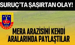 Suruç’ta Şaşırtan Olay! Mera Arazisini Kendi Aralarında Paylaştılar