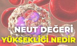 Neut Değeri Yüksekliği Nedir