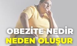 Obezite Nedir Neden Oluşur