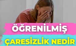 Öğrenilmiş Çaresizlik Nedir