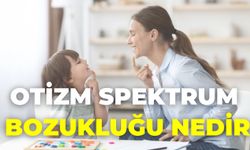 Otizm Spektrum Bozukluğu Nedir