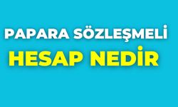 Papara Sözleşmeli Hesap Nedir