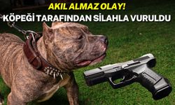 Pitbull Tetiğe Bastı, Sahibi Yaralandı!