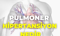 Pulmoner Hipertansiyon Nedir