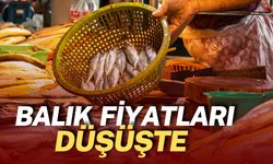 Ramazan Ayında Balık Fiyatları Düşüşe Geçti