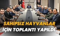 Şanlıurfa'da Sahipsiz Hayvanlar İçin Toplantı Yapıldı