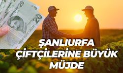 Şanlıurfa Çiftçilerine Büyük Müjde: 767,8 Milyon Lira Hesaplara Yatırıldı!