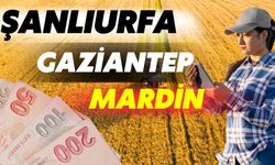 Şanlıurfa, Gaziantep ve Mardin’deki Çiftçiler İçin Destek Açıklaması