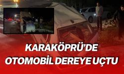 Şanlıurfa Karaköprü’de Otomobil Dereye Uçtu