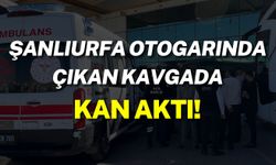 Şanlıurfa Otogarında Kavga Çıktı: 2 Yaralı!