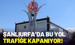 Şanlıurfa Suruç'ta Bu Yol Trafiğe Kapanıyor!