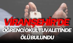 Şanlıurfa Viranşehir’de Öğrenci Okul Tuvaletinde Ölü Bulundu