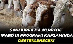 Şanlıurfa'da 20 Proje IPARD III Programı Kapsamında Desteklenecek!