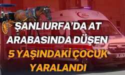 Şanlıurfa’da At Arabasında Düşen 5 Yaşındaki Çocuk Yaralandı