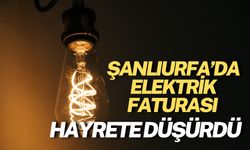 Şanlıurfa’da Bir Eve Gelen Fatura Hayrete Düşürdü