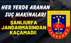 Şanlıurfa’da Her Yerde Aranan Suç Makinaları Yakalandı!