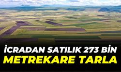 Şanlıurfa’da İcradan Satılık 273 Bin Metrekare Tarla