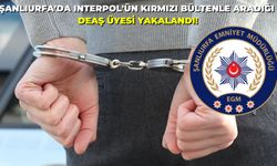 Şanlıurfa'da INTERPOL'ün Kırmızı Bültenle Aradığı DEAŞ Üyesi Yakalandı!