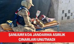 Şanlıurfa'da Jandarma 8 Mart Dünya Kadınlar Günü'nü Kutladı