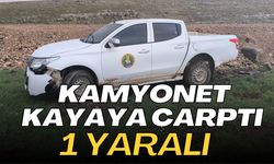 Şanlıurfa Ceylanpınar'da Kamyonet Kayaya Çarptı: 1 Yaralı