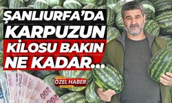 Şanlıurfa'da Yılın İlk Karpuzu Tezgahlara İndi: Bakın Kilosu Ne Kadar...