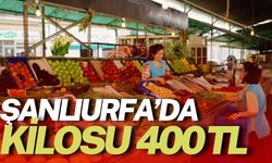 Şanlıurfa’da Kilosu 400 TL’den Satışa Sunuldu