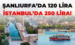 Şanlıurfa’da 120 Lira, İstanbul’da 250 Lira!