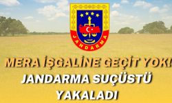 Şanlıurfa’da Mera İşgaline Geçit Yok! Jandarma Suçüstü Yakaladı