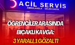 Şanlıurfa'da Öğrenciler Arasında Bıçaklı Kavga: 3 Yaralı, 1 Gözaltı