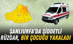 Şanlıurfa’da Şiddetli Rüzgar, Bir Çocuğu Yaraladı