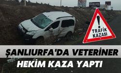 Şanlıurfa'da Veteriner Hekim Kaza Yaptı