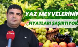 Şanlıurfa’da Yaz Meyveleri Mart’ta Satışa Çıktı: Fiyatlar Şaşırtıyor