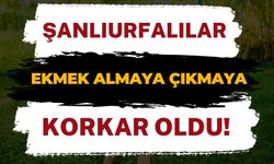 Şanlıurfalılar Sahur Vaktinde Ekmek Almaya Çıkmaya Korkar Oldu!