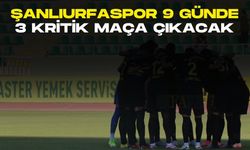 Şanlıurfaspor 9 Günde 3 Kritik Maça Çıkacak