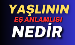 Yaşlının Eş Anlamlısı Nedir