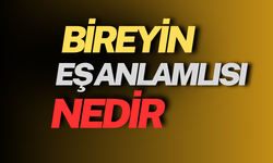 Bireyin Eş Anlamlısı Nedir