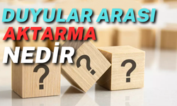 Duyular Arası Aktarma Nedir