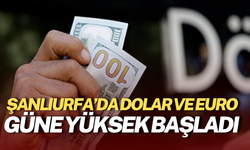 Şanlıurfa’da Dolar ve Euro Güne Yüksek Başladı