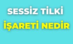 Sessiz Tilki İşareti Nedir