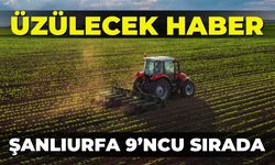 Sevinecek Haber Değil Üzülecek Haber: Şanlıurfa 9’ncu Sırada