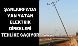 Şanlıurfa’da Yan Yatan Elektrik Direkleri Tehlike Saçıyor