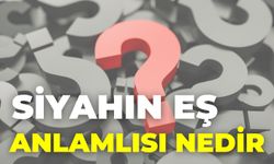 Siyahın Eş Anlamlısı Nedir