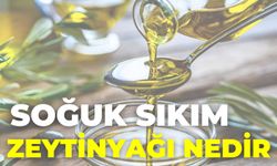 Soğuk Sıkım Zeytinyağı Nedir