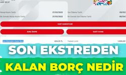 Son Ekstreden Kalan Borç Nedir