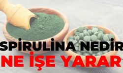 Spirulina Nedir, Ne İşe Yarar