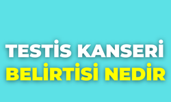 Testis Kanseri Belirtisi Nedir